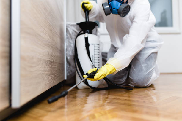 Best Termite Control Services  in Lahoma City, OK