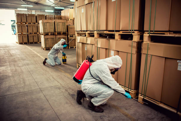 Best Wasp Removal Services  in Lahoma City, OK
