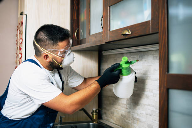 Best Ant Control Services  in Lahoma City, OK