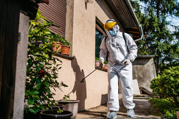 Best Emergency Pest Control  in Lahoma City, OK