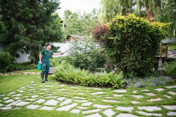 Professional Pest Control in Oklahoma City, OK