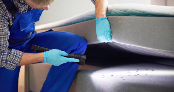 Best Pest Control Near Me  in Lahoma City, OK