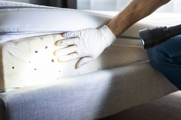 Best Affordable Pest Control Services  in Lahoma City, OK