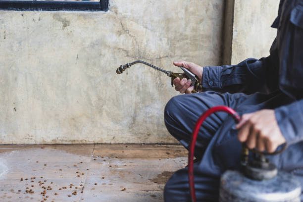Best Pest Removal Services  in Lahoma City, OK